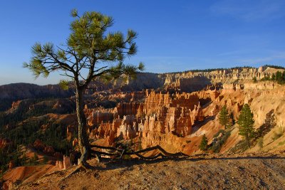 Bryce Canyon NP _DSC0477_ds.jpg