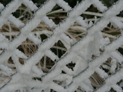 Frosty Fence Up Close