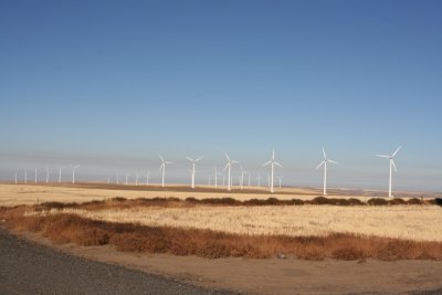 IMG_0046.JPG