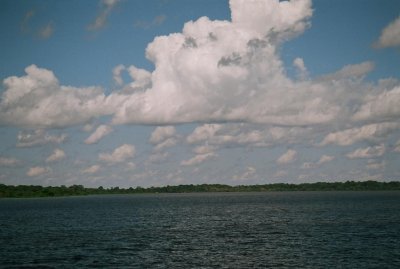 Looking towards the Amazon