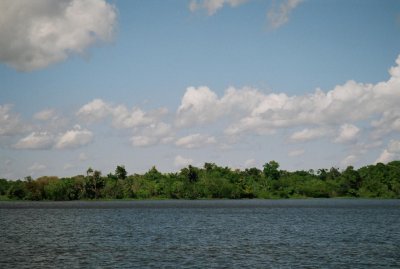The Rio Negro