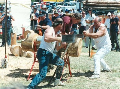 The big race- hand saw against a chainsaw
