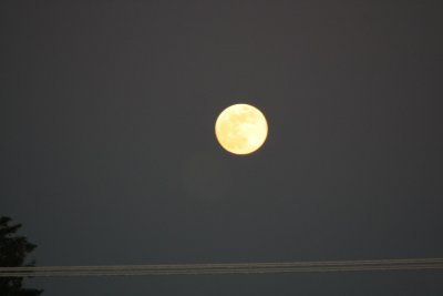 Full moon and Power lines