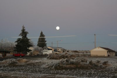 Full Moon out the back door