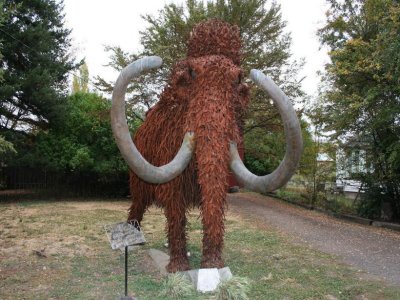 Woolly Mammoth of Fossil, Oregon