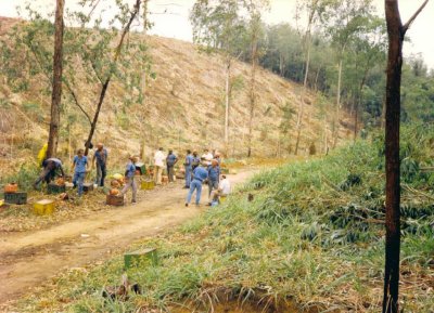Bush camp for charcoal wood cutters.