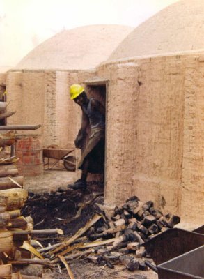 Comimg out for more wood.
