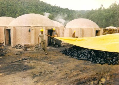 The finished charcoal must be kept dry.