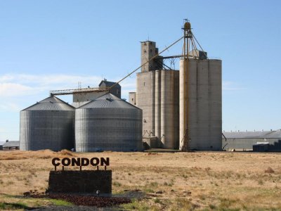 Condon sign