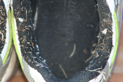 Over two hours were needed to clean my shoes