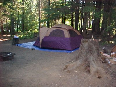 The tent