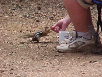 PITA  getting fed..somemore