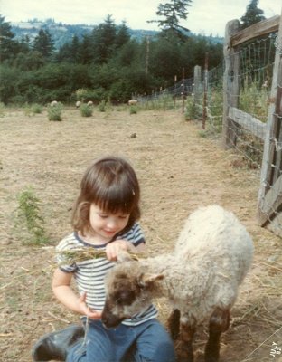 The baby sheep  '82