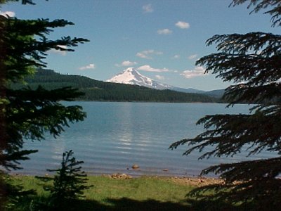 Mt Hood