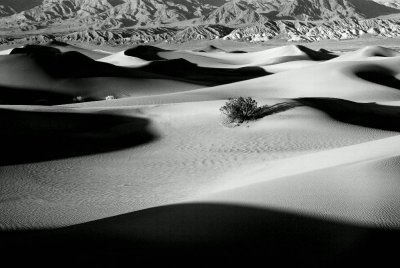 Dunes Stovepipe Wells