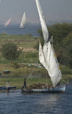 g6/62/767762/3/90334841.wtrddMzo.jpg