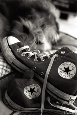 Chucks and Cassie Resting