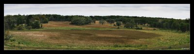g6/62/782262/3/87057019.x9FRkK57.jpg