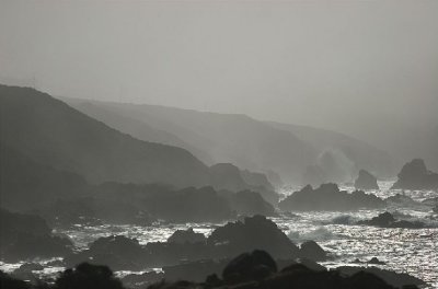 Shades of Grey, Monterey