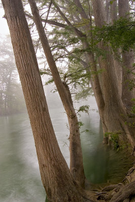 Medina River