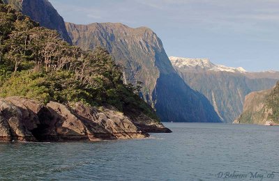 Looking into Milford Sound.jpg