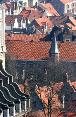 Brugge rooftops 1