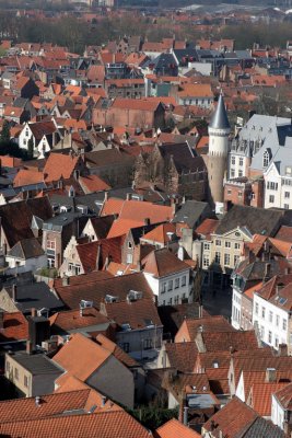 Brugge rooftops 4