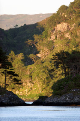 Loch Moidart view