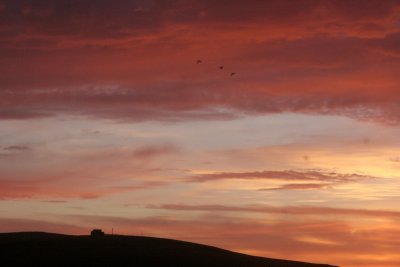 Scapa Flow sunrise 5