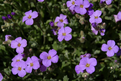 DSCF0941.jpg