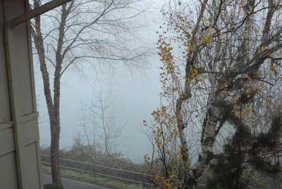 day2 -fog3.jpg
