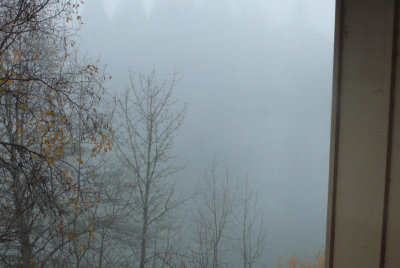 day2-fog4.jpg
