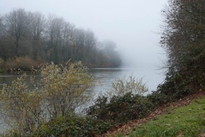 day 1 - foggy river bend.jpg