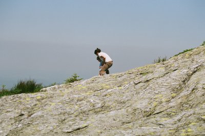 Above the Pee Line