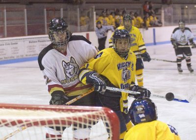 All eyes on the puck.jpg