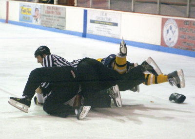 Pig pile.jpg