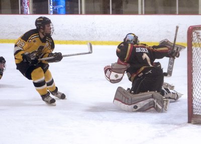Puck by Roeders stick.jpg