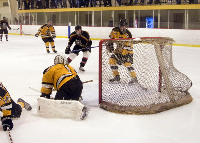 The puck finds the twine.jpg