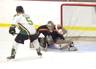PUCKS IN THE GLOVE.jpg
