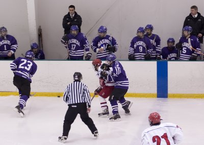 Action around Panther bench.jpg