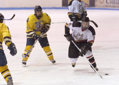 Matt Ethier races down the side boards.jpg