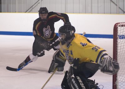 Nehring looking for the puck.jpg