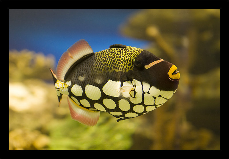 IMG_7042 - Cape Town - Aquarium.jpg