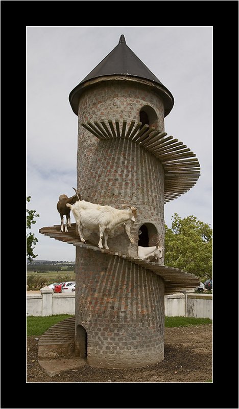 IMG_7312 - Fairview - Paarl.jpg