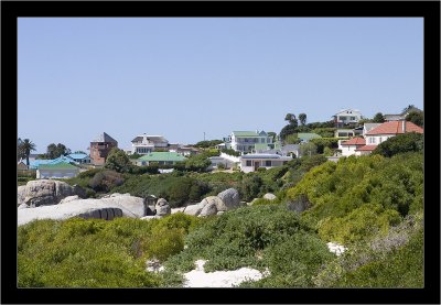 IMG_6672 - Boulders Beach - Simon's Town.jpg