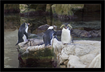 IMG_7055 - Cape Town - Aquarium.jpg