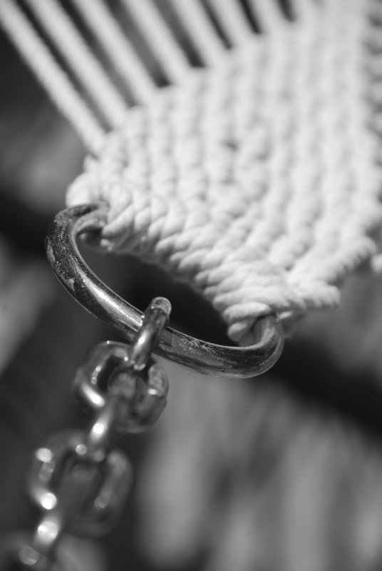 Hammock