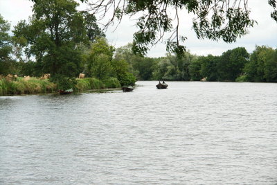 g6/63/350563/3/83172849.AROaYBgH.jpg