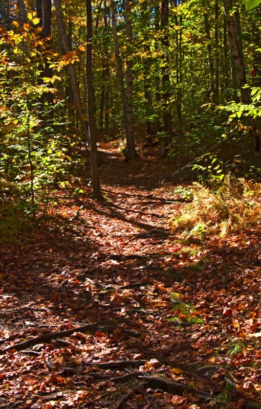 October2006-04.JPG