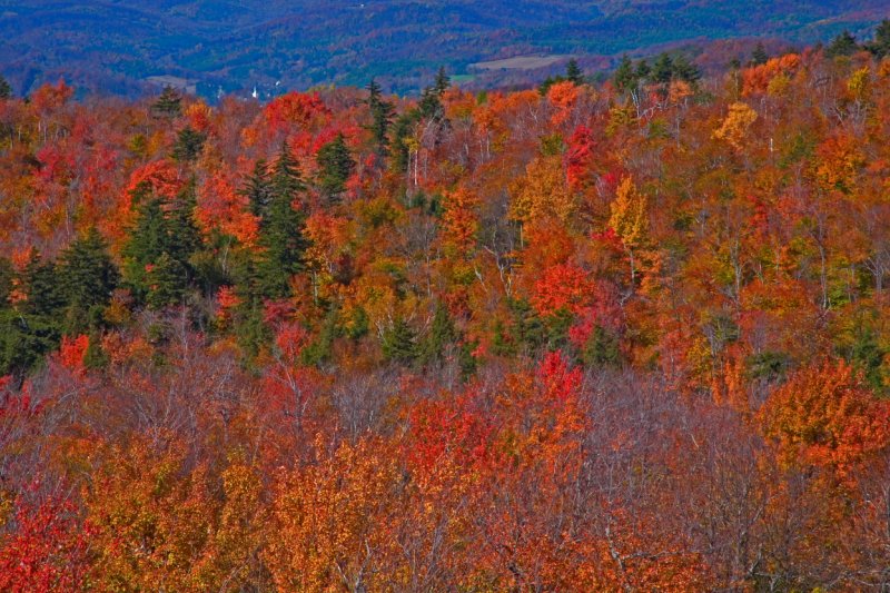 October2006-08.JPG